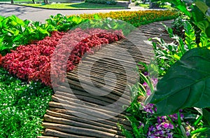 Colorful flowering plant and green shrub decorated under group of trees in a good care maintenance garden, curve wooden walkway