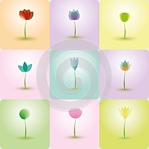 Colorful Flowers, abstract Icons for background