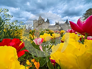 Colorful flowers bloom before an ancient castle Sully sur Loire