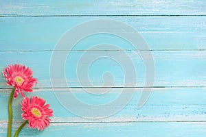Colorful flowers bouquet on blue wooden background.