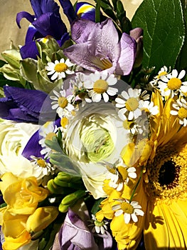 Colorful flowers bouquet . Composition with Colorful. Flowers. Blue freesia and yellow gerbera, white roses. Close-up