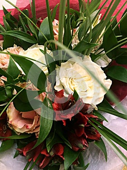 Colorful flowers bouquet isolated. Composition with Colorful. Flowers. Close-up Beautiful. Bouquet. Spring flowers