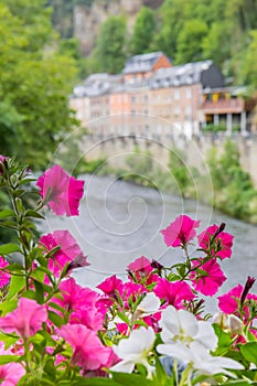Colorful flowers on the bridge over the river Ourthe in La Roche-en-Ardenne