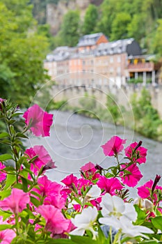 Colorful flowers on the bridge over the river Ourthe in La Roche-en-Ardenne photo