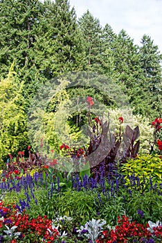 Colorful flowers, Butchart Gardens, Victoria, Canada