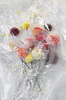 Colorful flowers covered with a plastic bag, environmental pollution eco concept