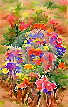 Colorful Flowers - Digital Art - Water Color Style