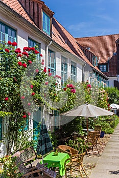 Colorful flowers at the facade of a white house in Flensburg
