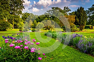 Colorful flowers in a garden at Druid Hill Park, in Baltimore, M