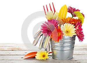 Colorful flowers and garden tools