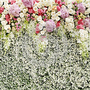 Colorful flowers with green wall for wedding backdrop