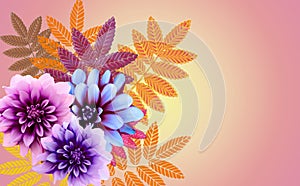 Colorful flowers and leaves on a plain background