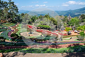 Colorful flowers at Mae Fah Luang Garden, Chiang Rai, Thailand. iang Rai, Thailand.