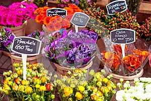 Colorful flowers market display with prices