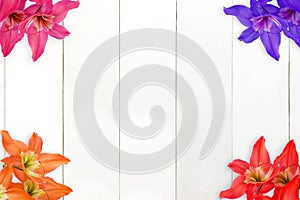 Colorful flowers over white wooden table background. Backdrop with copy space add to text.