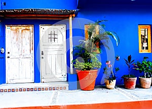 Colorful flowers and plants in clay pots against blue wall