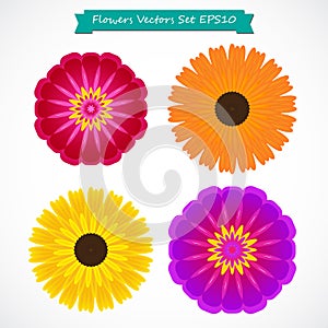 Colorful flowers setÃÂ vector illustration