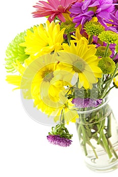 Colorful Flowers For Special Occasions