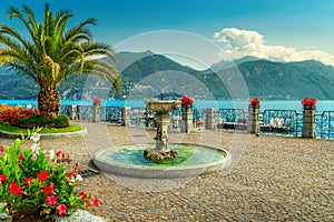 Colorful flowers and spectacular promenade, Lake Como, Lombardy region, Italy