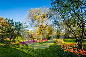 Colorful flowers and trees at Sherwood Gardens Park in Guilford, Baltimore, Maryland photo