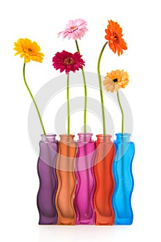 Colorful flowers and vases