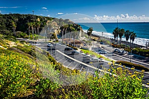 Colorful flowers and view of San Clemente State Beach