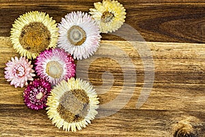 Colorful flowers on vintage wooden background