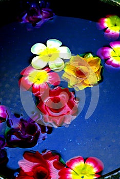 Colorful flowers on water