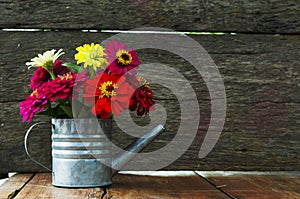 Colorful flowers with watering Can flower pot on wood backgrounds