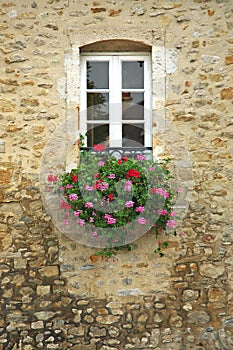 Colorful Flowers in Window of Ancient Building