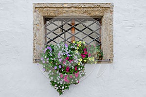 Colorful flowers on window exterior of old european house