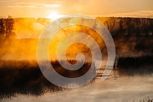 colorful fog over a lake with reeds at dawn