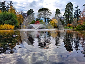Colorful foliage of greenery in park with a pond with ducks swimming and a water fountain in autumn