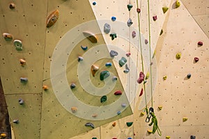 Colorful footholds for training. Climbing gym