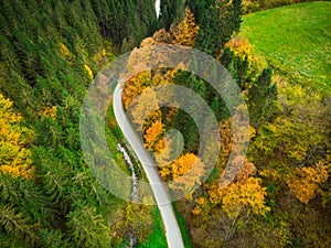 Colorful forest and curvy road, aerial drone view from above