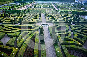 Colorful formal garden at sunset, with a mysterious light