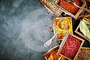 Colorful fresh dried spices in a side border