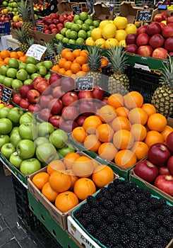 Colorful Fresh Fruit Display at a Market