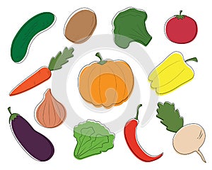 Colorful fresh organic vegetables set