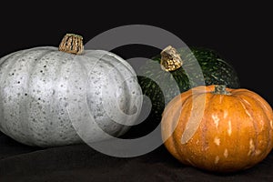 Colorful fresh pumpkins on black background