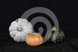 Colorful fresh pumpkins on black background