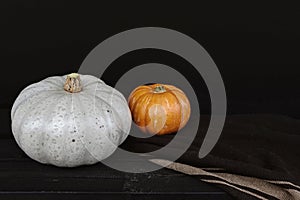 Colorful fresh pumpkins on black background