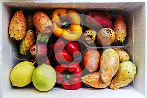 Colorful fresh fruits and vegetables: prickly pears, opuntia cactus figs, yellow and red pepper bells and lemons photo
