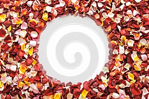 Colorful fresh rose petals in the shape of a circle on white background with space for text.