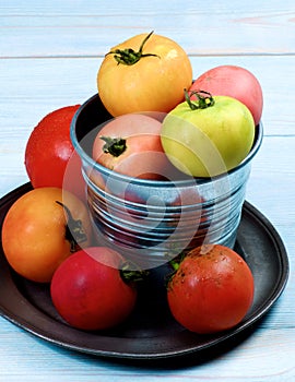 Colorful Fresh Tomatoes