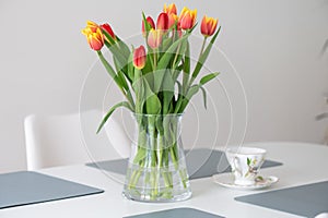 Colorful fresh tulips in glass vase on a table at home