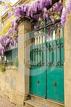 Colorful front gate and purple wisteria . Chinon. France