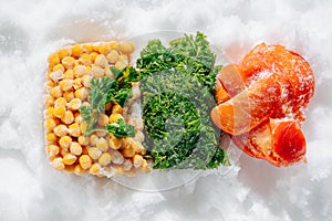 Colorful frozen briquettes of berries, greens and veggies on ice. top view.