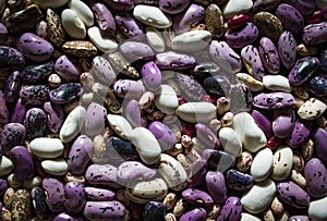 Colorful fruit beans