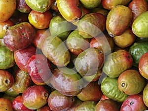 Colorful Fruit at Chichicastenango Market photo